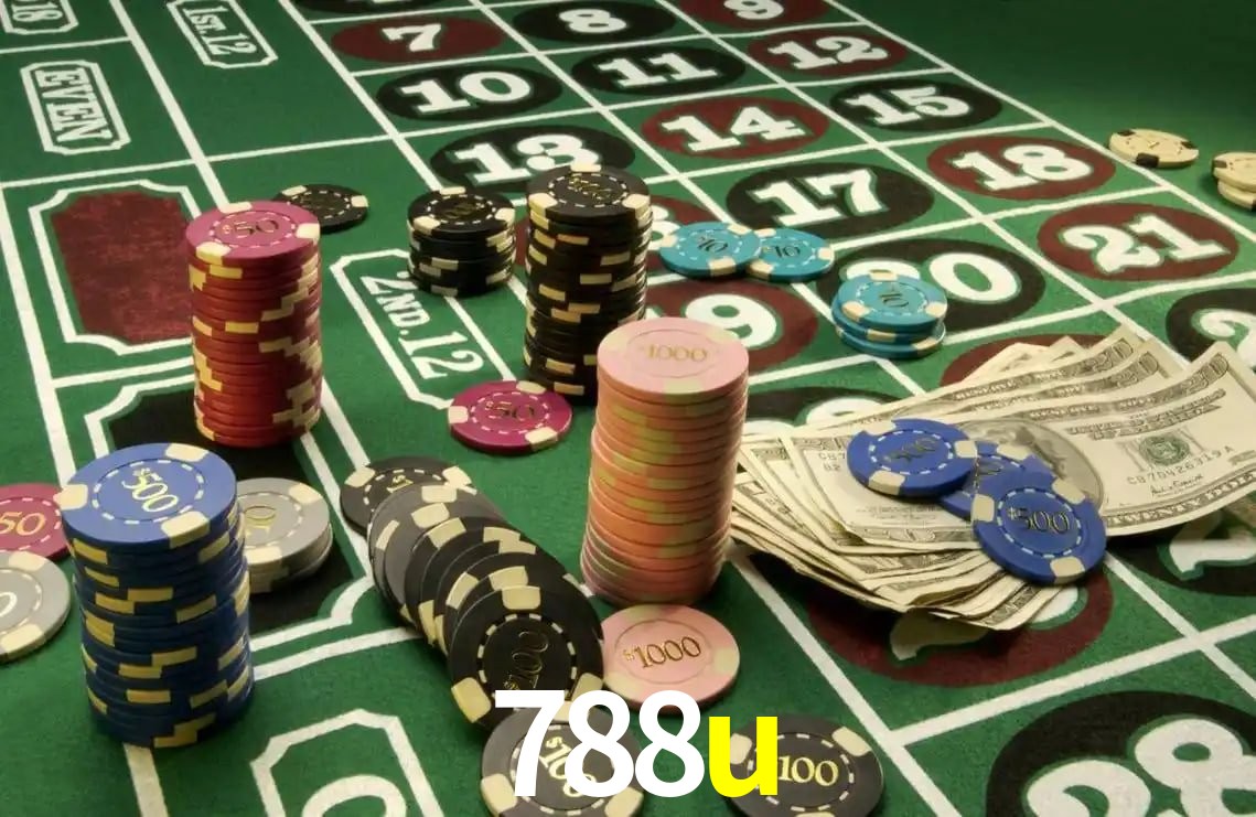 788u App Interface